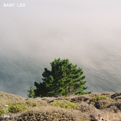 MDC.309 Baby Leo
