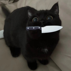 Watashi wa STAR (I am a STAR)