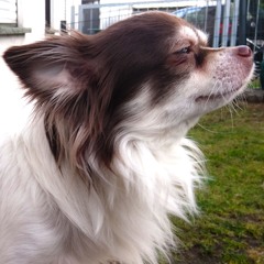 Soner Aktas - Feel The Music (Oriental Mix) *FREE DOWNLOAD* *Unreleased*