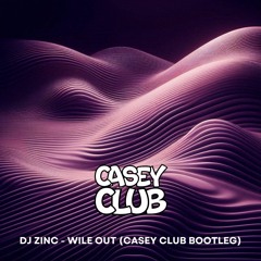 DJ Zinc feat. Ms Dynamite - Wile Out (Casey Club Heavy UKG Bootleg) FREE DL