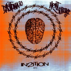 DAYTONA 83 - Coulis