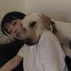 잊어야 한다는 마음으로 - 아이유