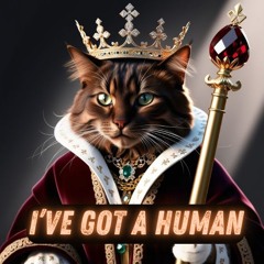 I've Got a Human