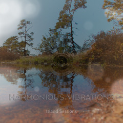 Harmonious Vibrations - Loungin’