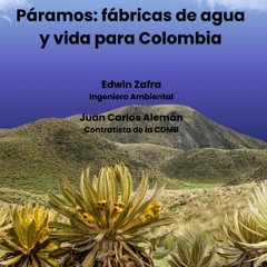 Páramos: fábricas de agua y vida para Colombia