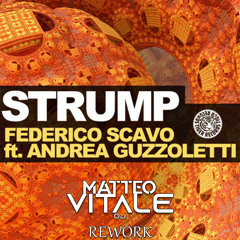 Federico Scavo feat. Andrea Guzzoletti - Strump (Matteo Vitale Rework)