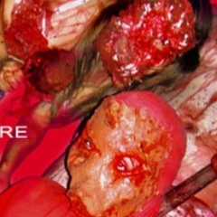 Ritualistic Raping [UNRELEASED]