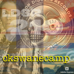 LDSR 21o - ckswanecamp - GET BACK TO HER