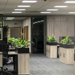 Mowbray Workspace Solutions: Mezzanine Flooring Excellence