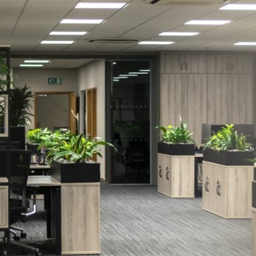 Mowbray Workspace Solutions: Mezzanine Flooring Excellence