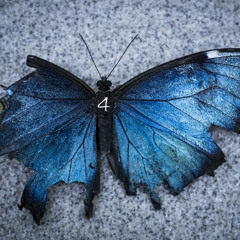 🦋Ulysses - AFTER 4, Afterlife Inspired Mix (05 - 2020)