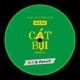 on Cát Bụi - Khánh Ly (V.I.B Baile Funk Remix)