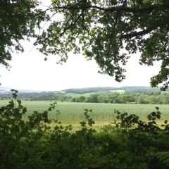 What a Releaf Its Friday 04.07.25 Part 2.mp3