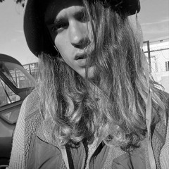 venus fly trap - brakence (liiv cover)