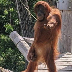 melodic-groove-mix-01