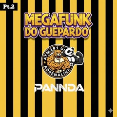MEGAFUNK DO GUEPARDO Pt.2