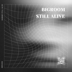 Bigroom Still Alive