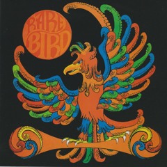 Bird on a Wing