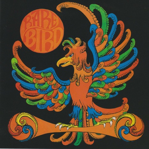 Bird on a Wing
