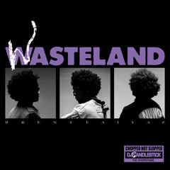 WASTELAND - CHOPPED NOT SLOPPED