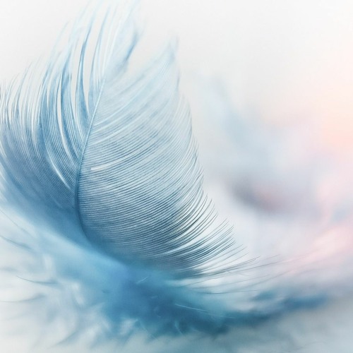 the best of Ambient and Soundtrack 2021