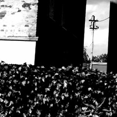 Titanium Techno Raw Part V