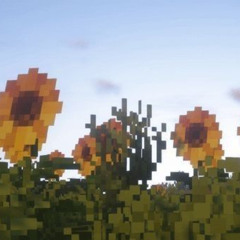 flores amarelas