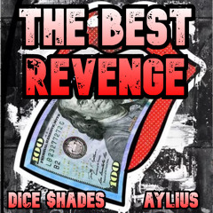The Best Revenge
