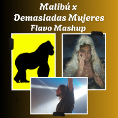 Malibu x Demasiadas Mujeres (FLAVO FREE Mashup)