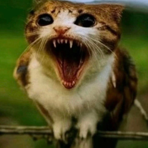 0ctober mood l0l