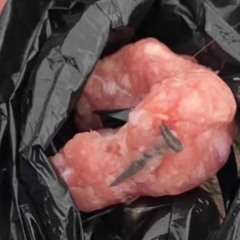 Boletín informativo CatalunyaPress 13/06/202