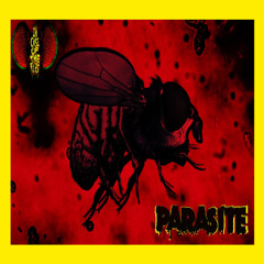 Parasite
