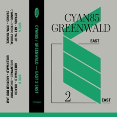 TSTFM005: CYAN85 / GREENWALD — EAST 2 EAST EP (sampler)