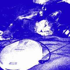 spawncamped - reject remix (never goodbye verse)