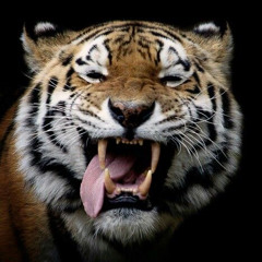 gregorian girls gone wild instrumental