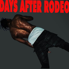 Days After Rodeo .