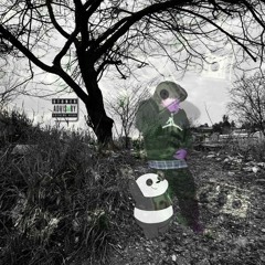 BLANCO Y NEGRO - Nau D