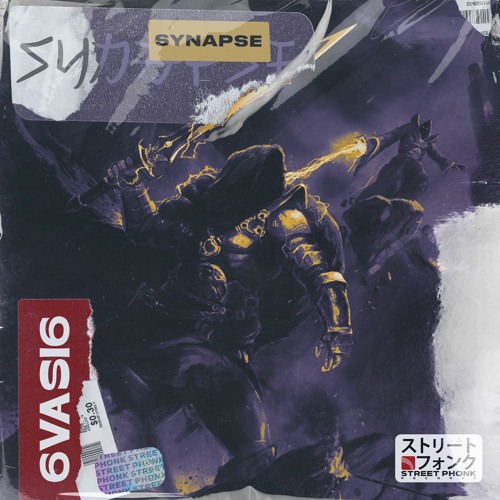 6VASI6 - SYNAPSE