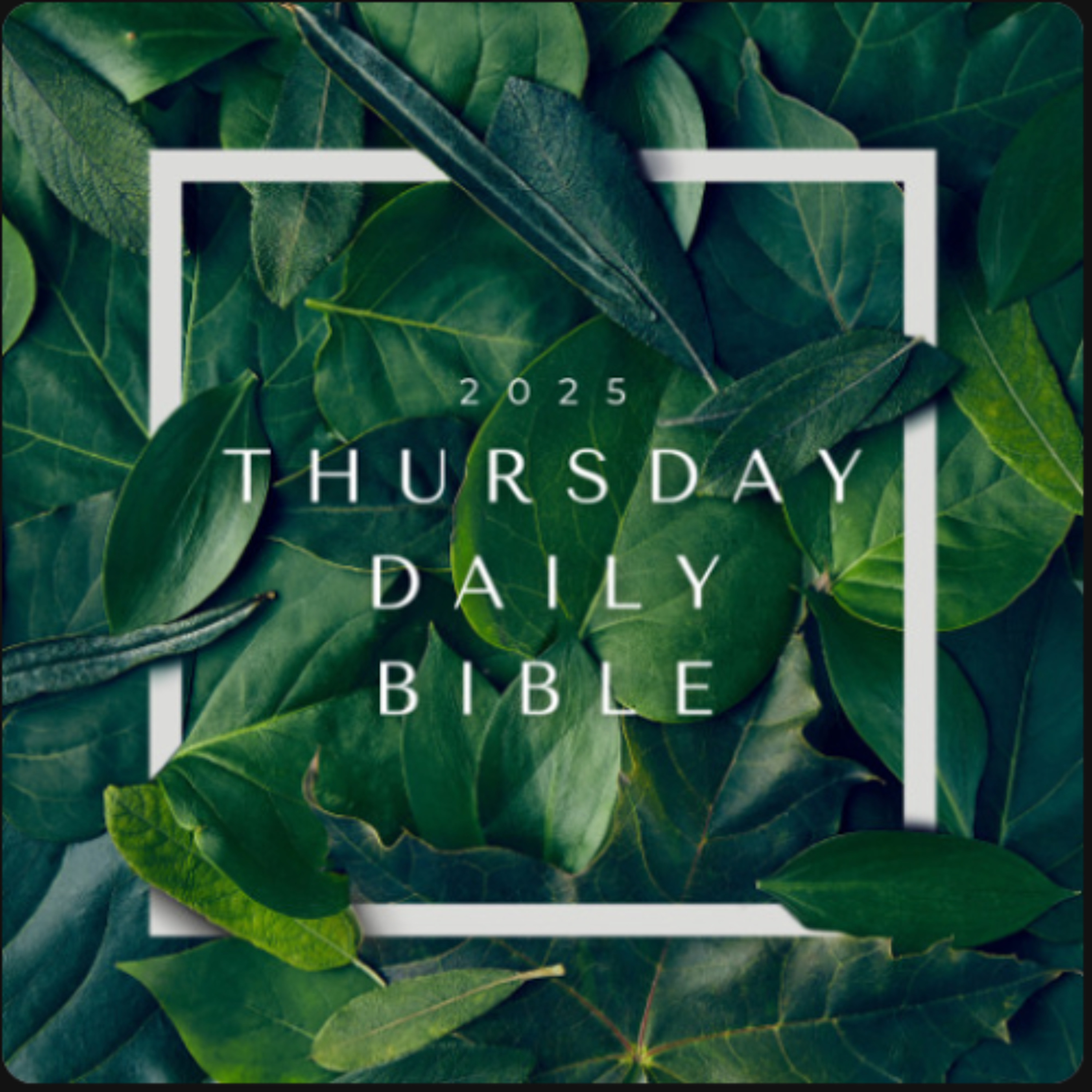 25.07.17 (Rev 11) Daily Bible episode artwork