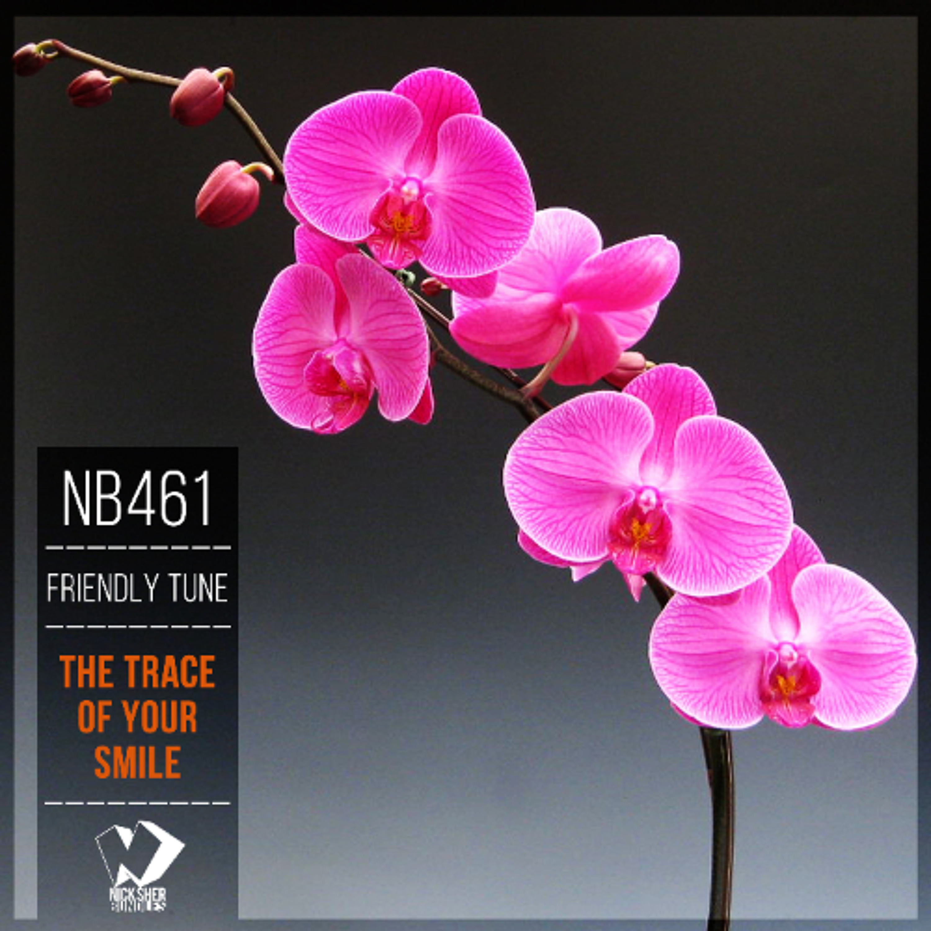 Friendly Tune - The Trace of Your Smile (Original Mix) episode artwork
