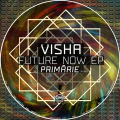 Visha - In A Great Way (Original Mix) Preview