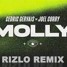 Cedric Gervais & Joel Corry - MOLLY ( Rizlo Remix)