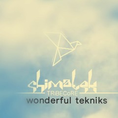 wonderful tekniks