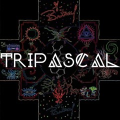 Tripascal - Dj set La Ultima ola Psyconfluence (downtempo/Dark prog)