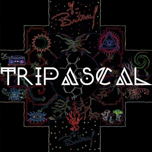 Tripascal Live WOMAD 2024 (Downtempo/Dark prog)