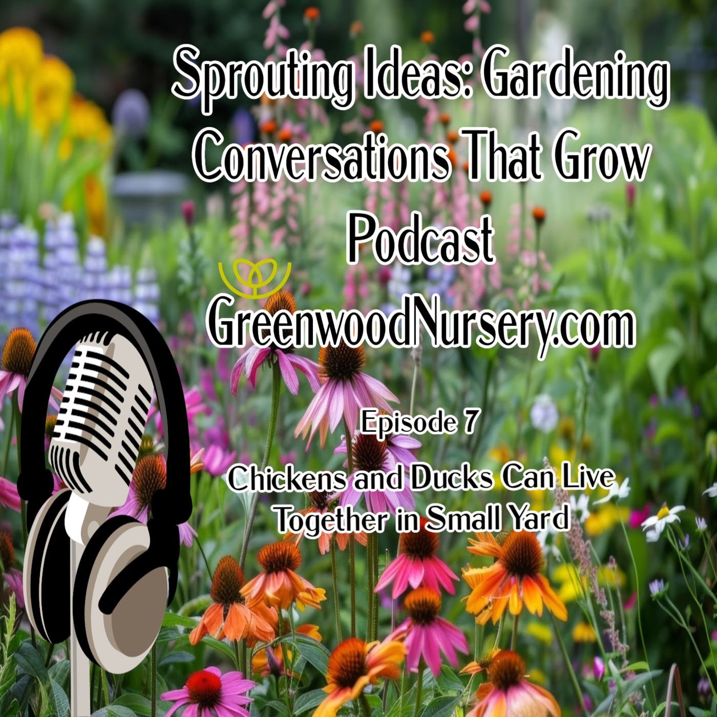 Episode 7 - Chicken and Duck Breeds that Live Well Together in Small Yard