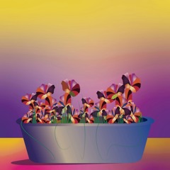 Spring Will Come Around