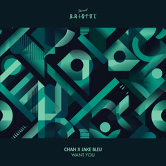 CHAN & Jake Bleu - Want You [This Ain't Bristol]