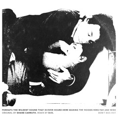 Shane Carruth - "Perhaps The Wildest Sound..." (Bug Remix)