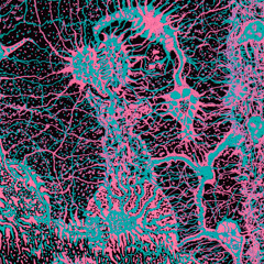 PREMIERE: Acidic Male - Fear Of Wetness (Ludgate Squatter remix) (Lifeforms)